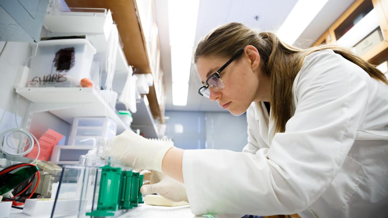 First Generation College Student Ariana Nagainis performing a research experiment in the lab.