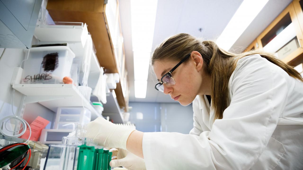 First Generation College Student Ariana Nagainis performing a research experiment in the lab.