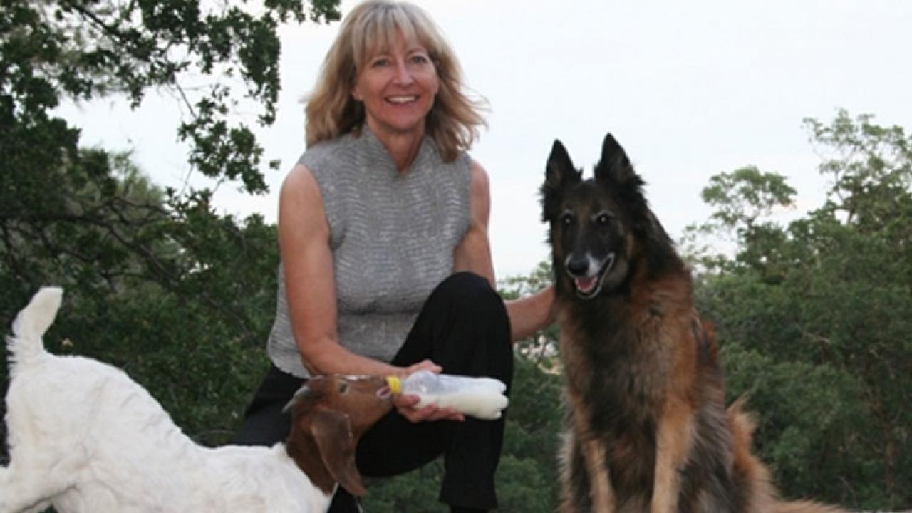 Anita Oberbauer is Professor and Department Chair in the Department of Animal Science. Her research program has two areas of emphasis: growth and development focusing on the skeleton in driving the relationship between skeletal size and body composition; and the genetic basis for health disorders and other traits in dogs.