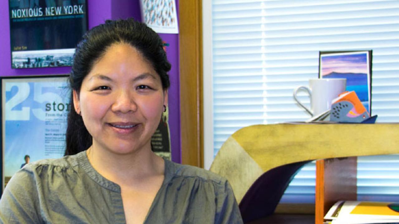 Julie Sze is a professor in and chair of the department of American Studies at UC Davis, and is the founding director of the Environmental Justice Project for UC Davis’ John Muir Institute for the Environment. Her research investigates environmental justice and environmental inequality; culture and environment; race, gender and power; and urban/community health and activism.